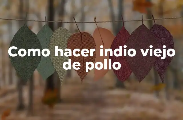Como Hacer Indio Viejo de Pollo