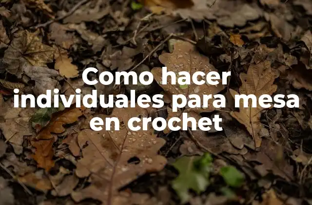 Como Hacer Individuales para Mesa en Crochet