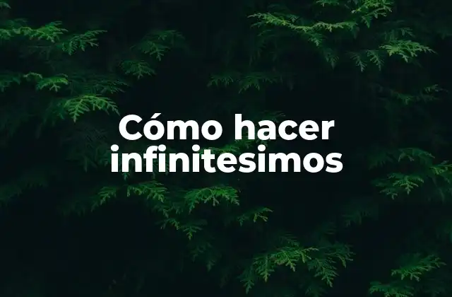 ¿Qué son los infinitesimos?