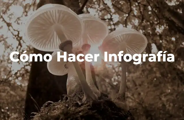 What is Infografía?