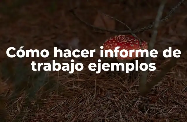 Cómo Hacer Informe de Trabajo Ejemplos