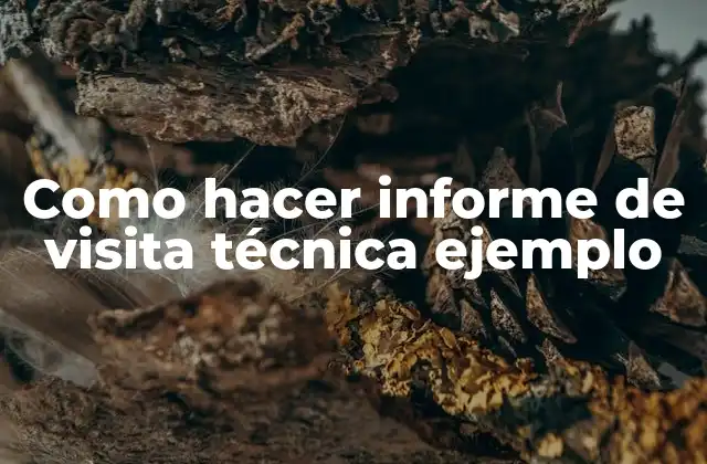 Como Hacer Informe de Visita Técnica Ejemplo