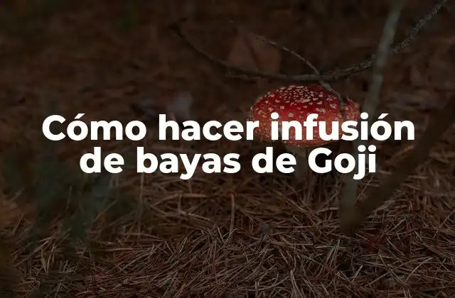 Cómo Hacer Infusión de Bayas de Goji