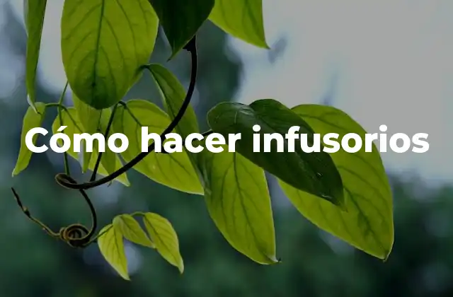 Cómo Hacer Infusorios