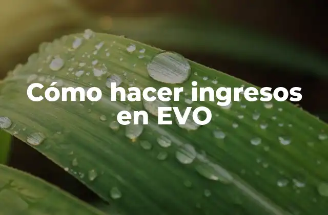 Cómo Hacer Ingresos en Evo