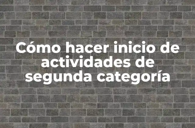 Cómo Hacer Inicio de Actividades de Segunda Categoría