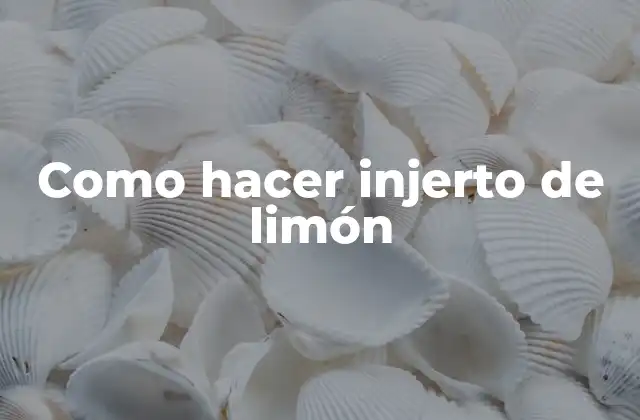 Como hacer injerto de limón