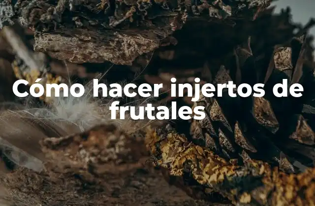 Cómo Hacer Injertos de Frutales