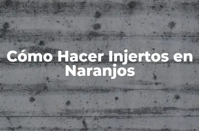 ¿Qué es el Injerto de Naranjos y para Qué Sirve?