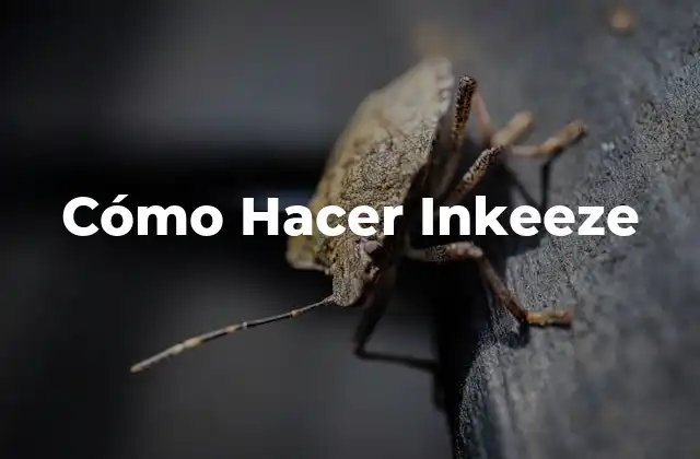 Cómo Hacer Inkeeze