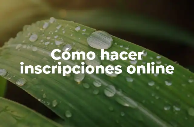 Cómo Hacer Inscripciones Online