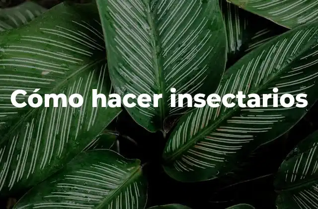 ¿Qué es un insectario y para qué sirve?
