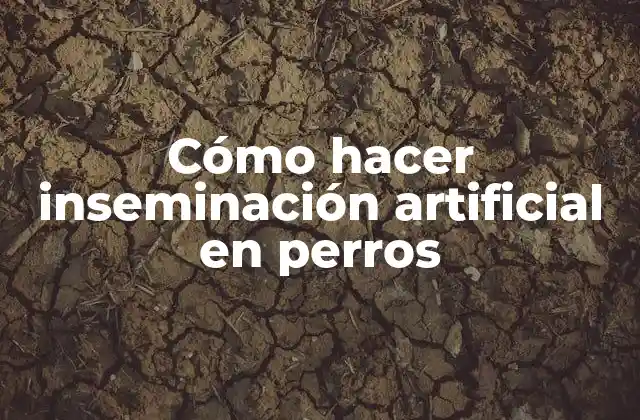 Cómo Hacer Inseminación Artificial en Perros