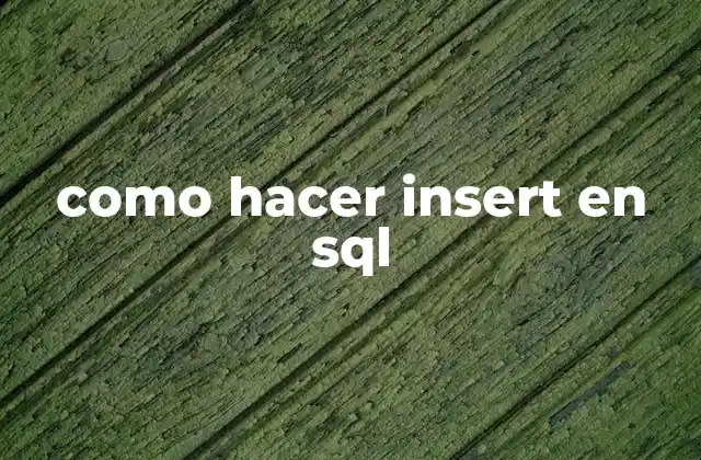 Como Hacer Insert en Sql