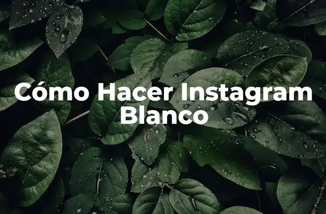 ¿Qué es un Tema Blanco en Instagram?
