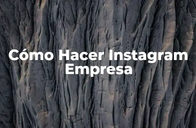 Cómo Hacer Instagram Empresa