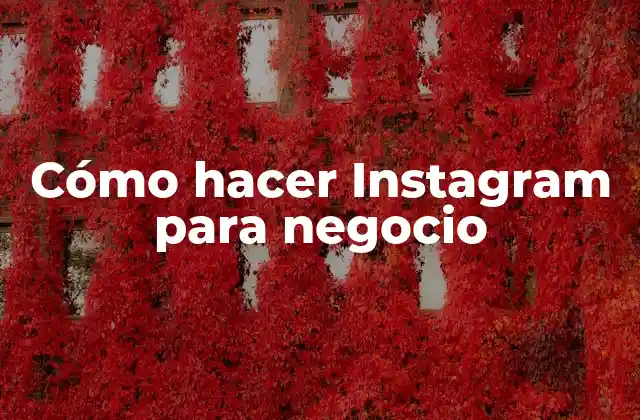 Cómo Hacer Instagram para Negocio