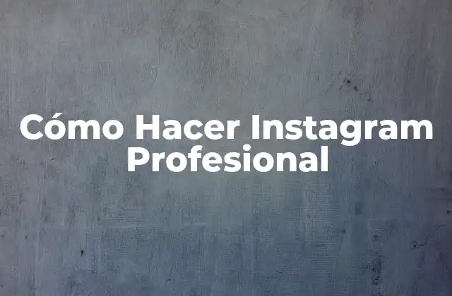 Cómo Hacer Instagram Profesional