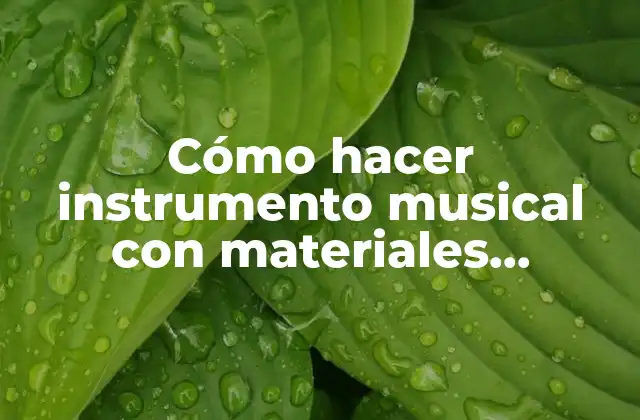 Cómo hacer instrumento musical con materiales reciclados