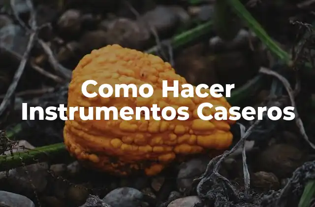 Como Hacer Instrumentos Caseros