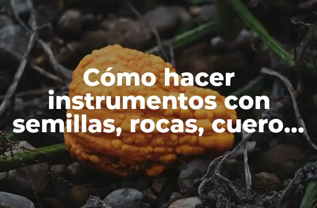Cómo Hacer Instrumentos con Semillas, Rocas, Cuero, Tacuaray y Otros