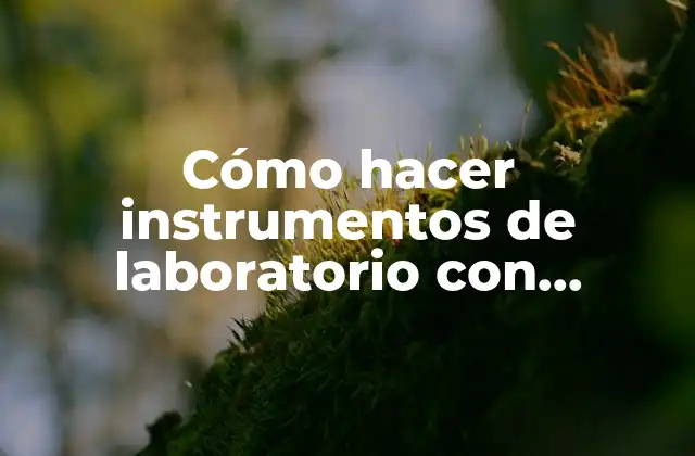 Cómo Hacer Instrumentos de Laboratorio con Material Reciclable