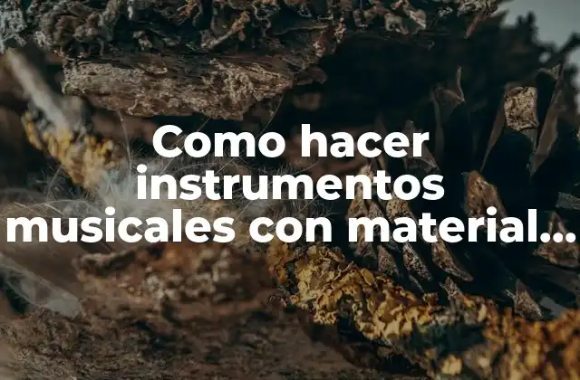 Como Hacer Instrumentos Musicales con Material Reciclado para Niños