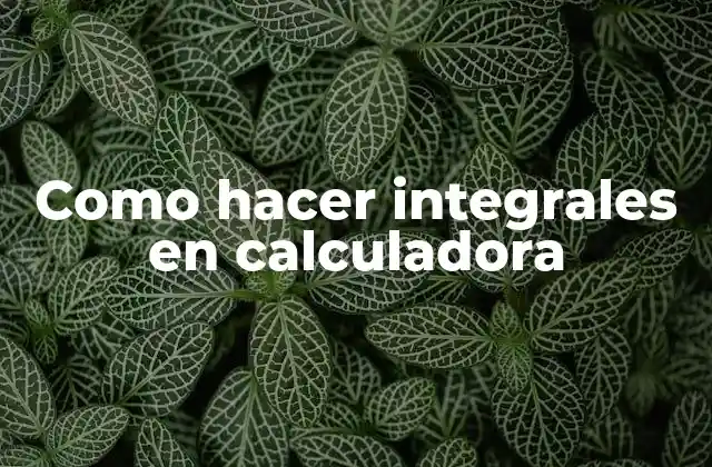 Como Hacer Integrales en Calculadora