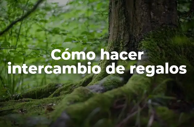 Cómo Hacer Intercambio de Regalos