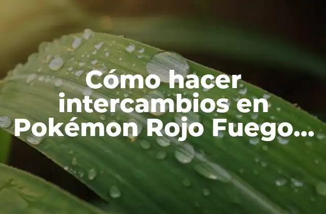Cómo Hacer Intercambios en Pokémon Rojo Fuego Pc 2 Cómo hacer intercambios en Pokémon Rojo Fuego PC