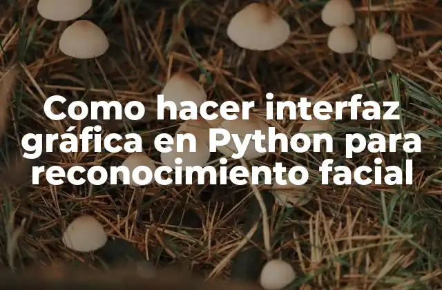 Como Hacer Interfaz Gráfica en Python para Reconocimiento Facial