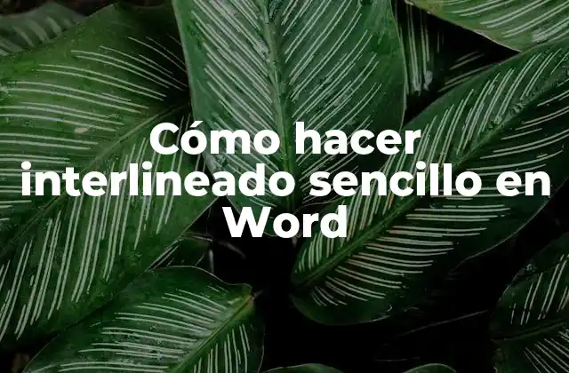 Cómo Hacer Interlineado Sencillo en Word