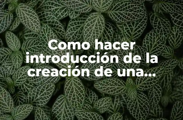 Como Hacer Introducción de la Creación de una Empresa