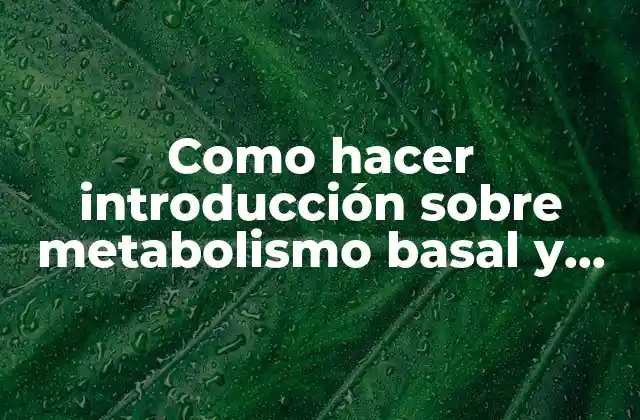 Metabolismo basal y factores