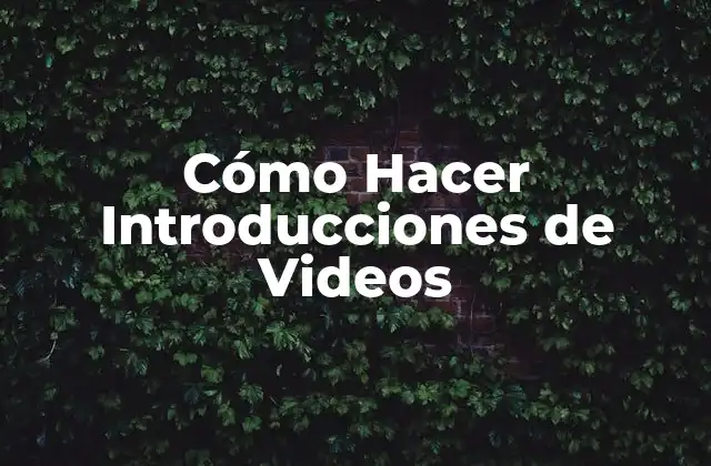 Cómo Hacer Introducciones de Videos