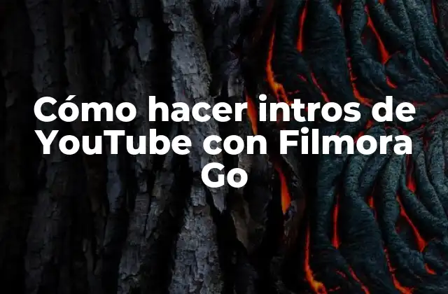 Cómo Hacer Intros de Youtube con Filmora Go