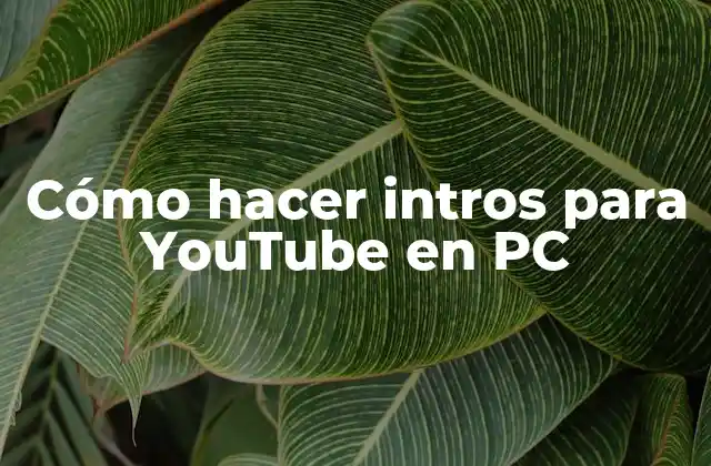 Cómo Hacer Intros para Youtube en Pc