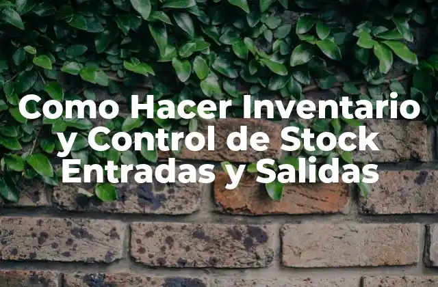 Como Hacer Inventario y Control de Stock Entradas y Salidas