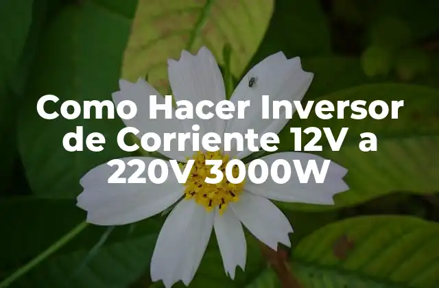 Como Hacer Inversor de Corriente 12v a 220v 3000w