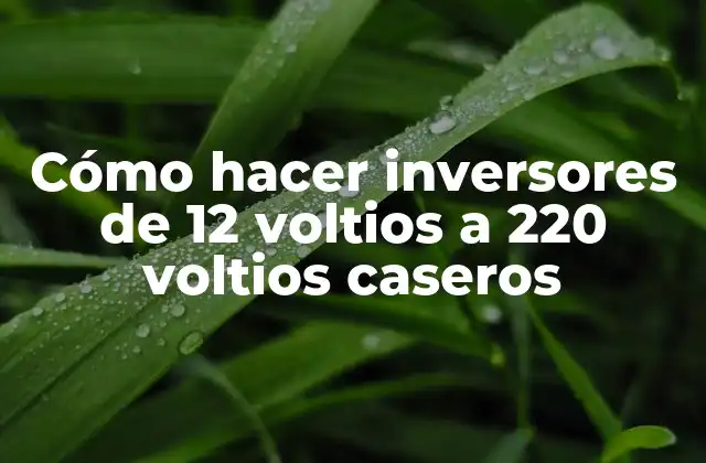 Inversor de 12V a 220V