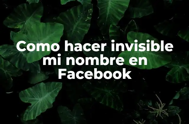 Como Hacer Invisible Mi Nombre en Facebook 2 ¿Qué es la configuración de privacidad en Facebook?