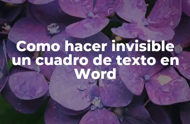 Como Hacer Invisible un Cuadro de Texto en Word
