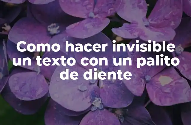 Como Hacer Invisible un Texto con un Palito de Diente