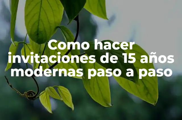 Como Hacer Invitaciones de 15 Años Modernas Paso a Paso