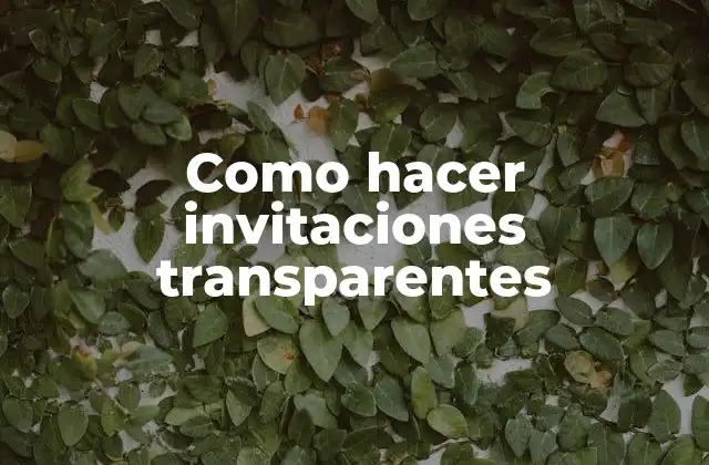 Como Hacer Invitaciones Transparentes 2 Invitaciones transparentes
