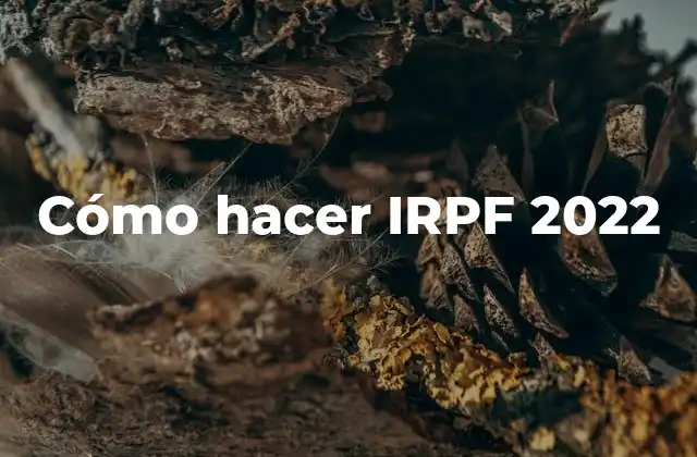 Cómo Hacer Irpf 2022 2 ¿Qué es el IRPF 2022 y para qué sirve?