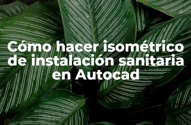 Cómo Hacer Isométrico de Instalación Sanitaria en Autocad