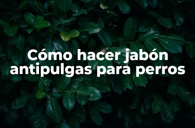 Cómo Hacer Jabón Antipulgas para Perros