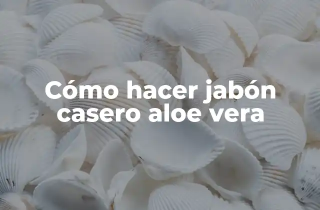 Cómo Hacer Jabón Casero Aloe Vera