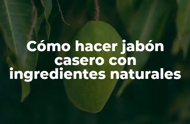 Cómo Hacer Jabón Casero con Ingredientes Naturales